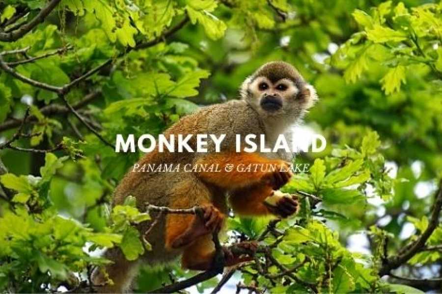 900x600-1-50-0bc40f555e35e79445546503c5c411d7