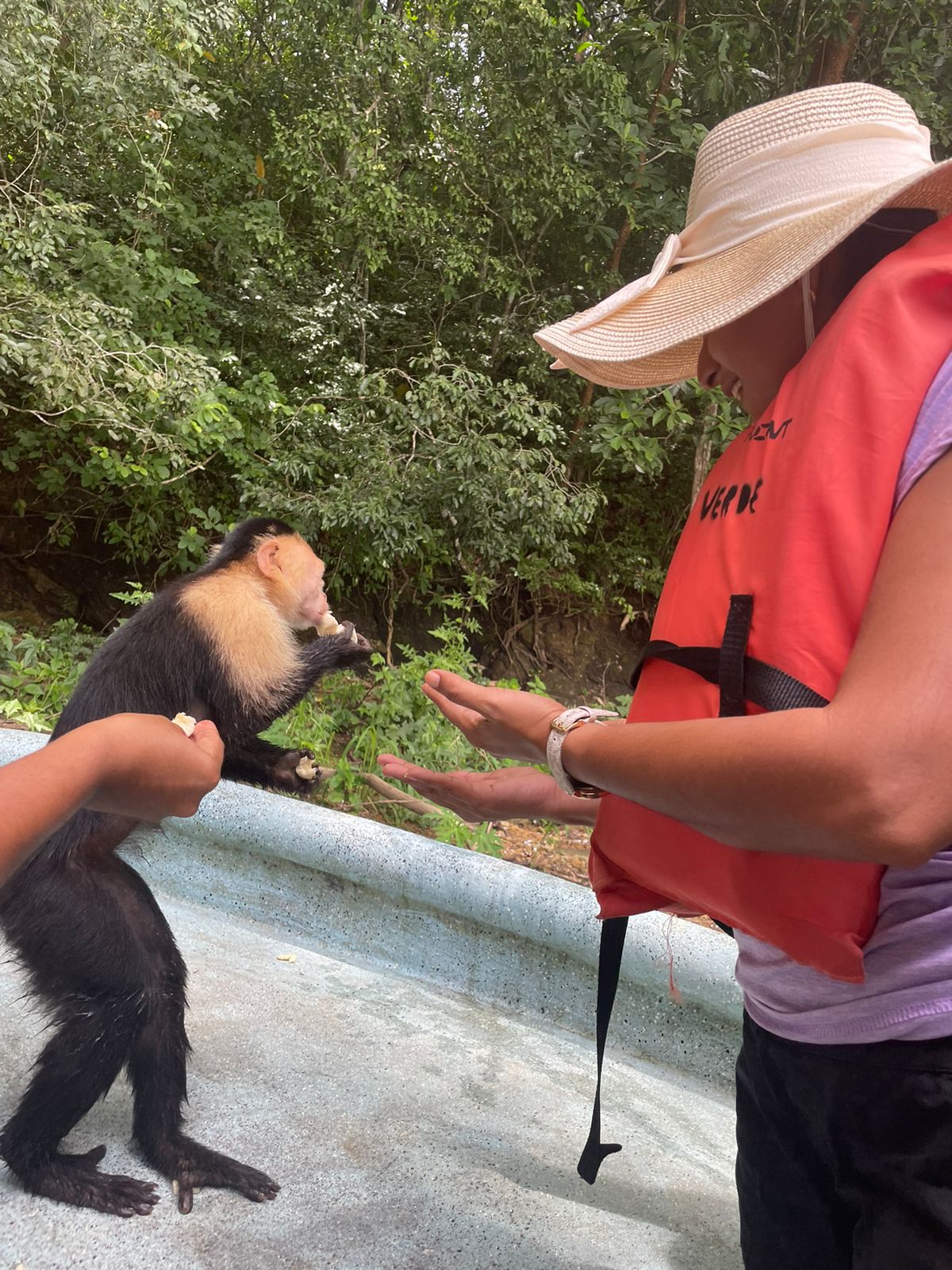 WhatsApp Image 2023-09-17 at 5.51.17 PM (1)